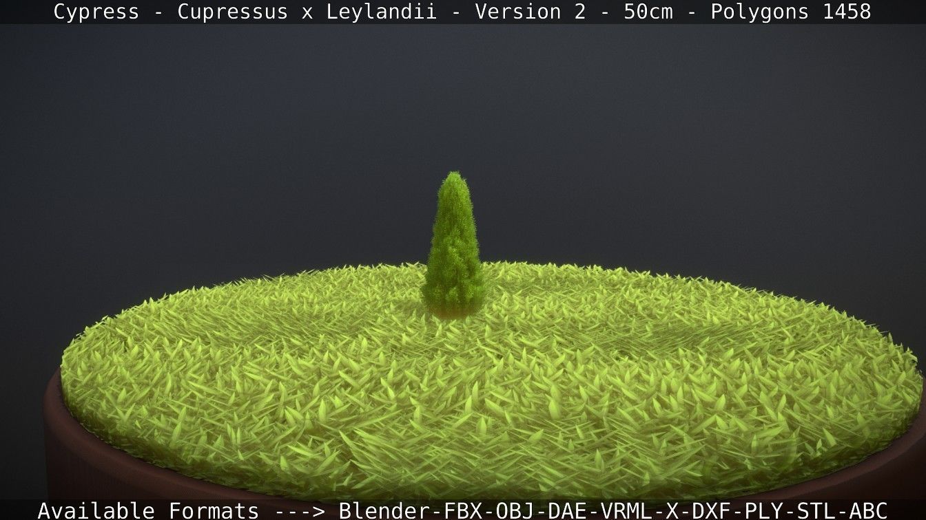 Low-Poly Cypress - Cupressus x Leylandii - Version 2 - 50cm 3D model_83