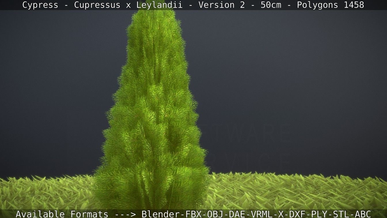 Low-Poly Cypress - Cupressus x Leylandii - Version 2 - 50cm 3D model_114