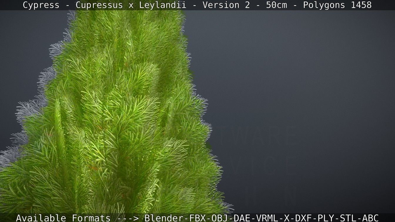 Low-Poly Cypress - Cupressus x Leylandii - Version 2 - 50cm 3D model_18