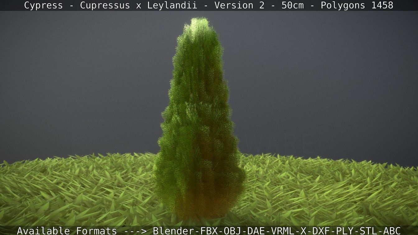 Low-Poly Cypress - Cupressus x Leylandii - Version 2 - 50cm 3D model_36