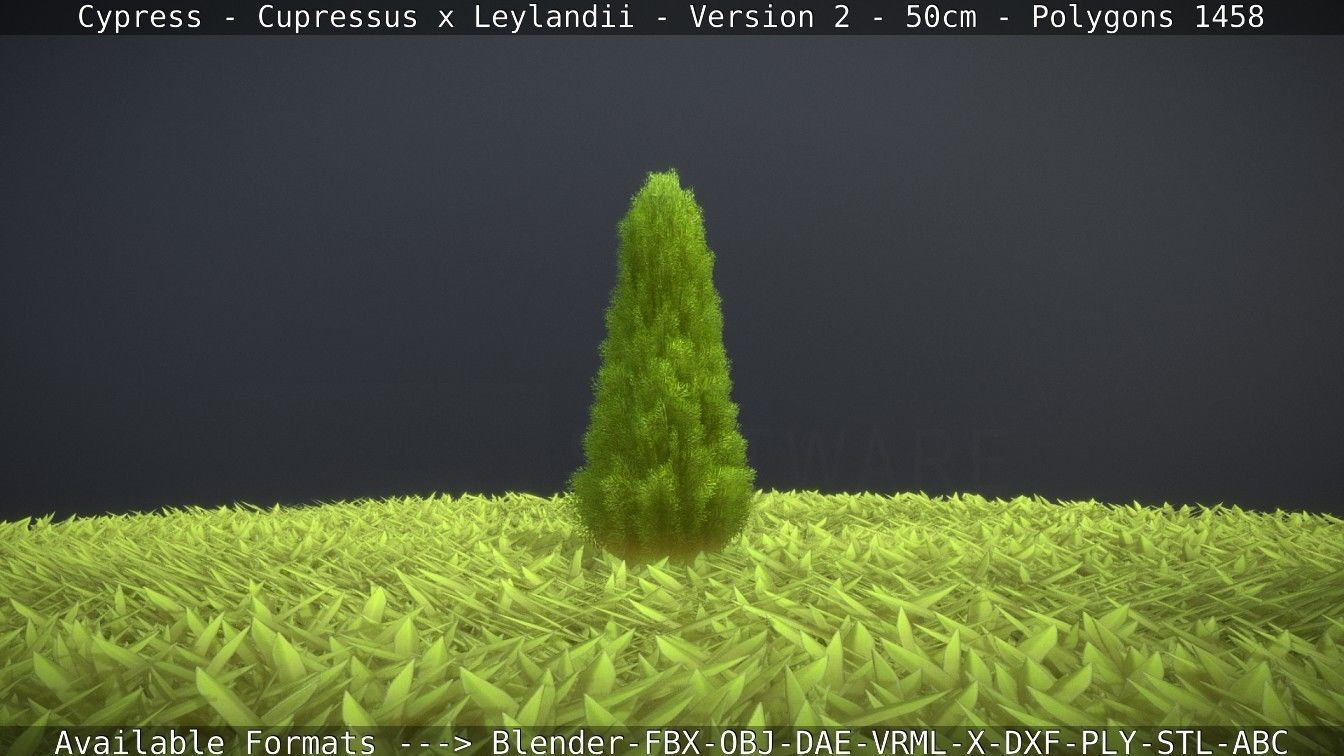 Low-Poly Cypress - Cupressus x Leylandii - Version 2 - 50cm 3D model_62
