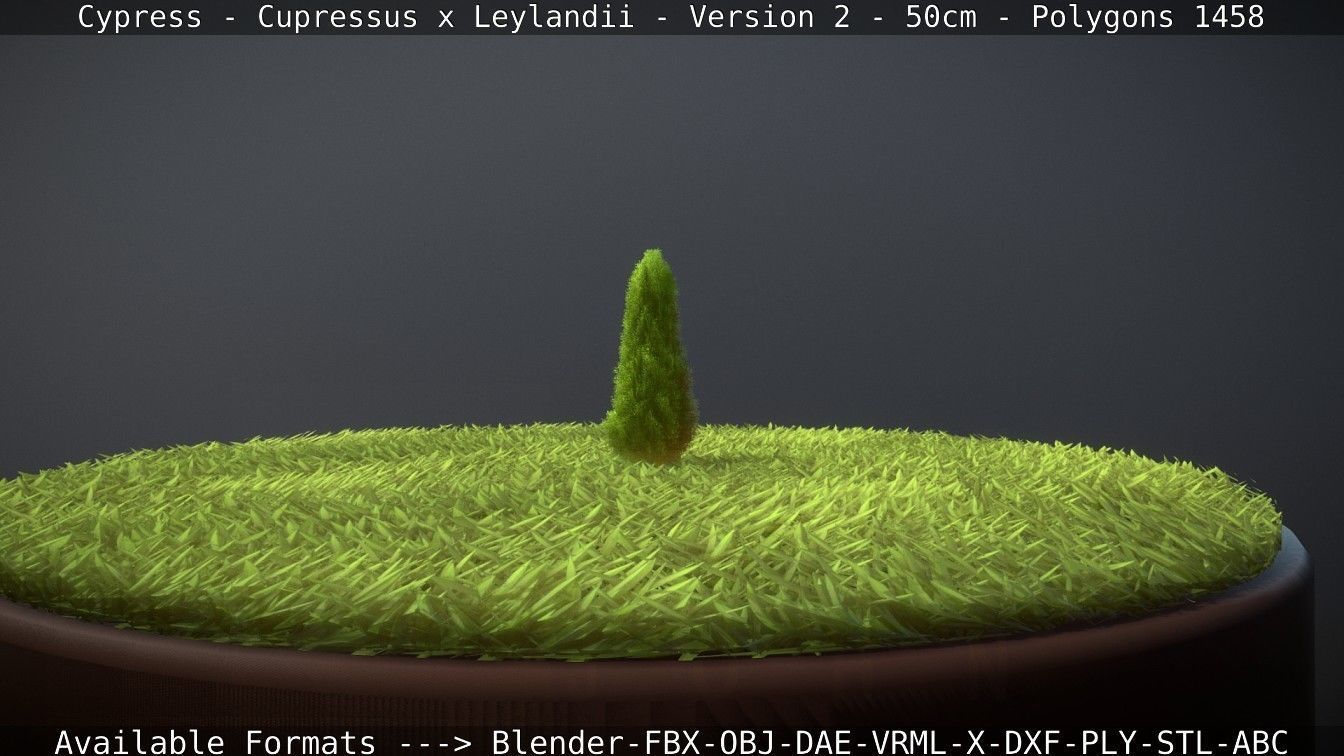 Low-Poly Cypress - Cupressus x Leylandii - Version 2 - 50cm 3D model_86