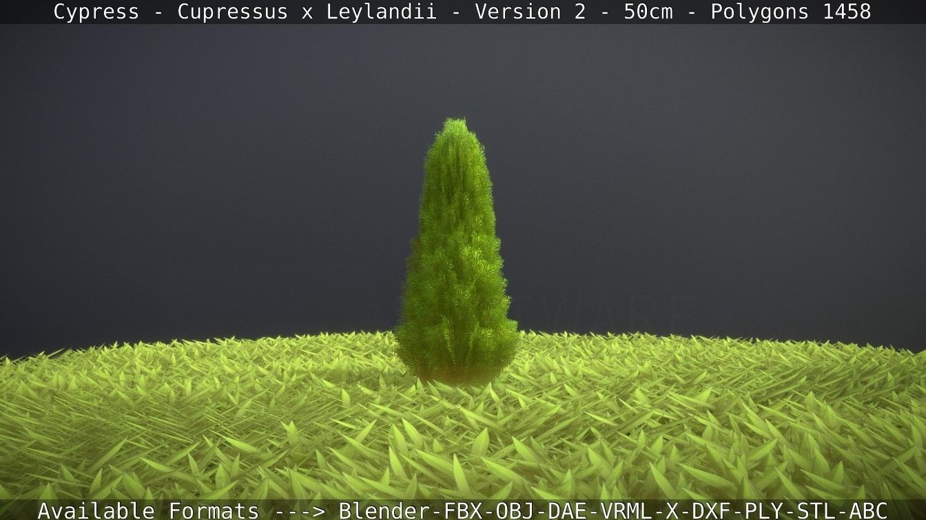 Low-Poly Cypress - Cupressus x Leylandii - Version 2 - 50cm 3D model_63