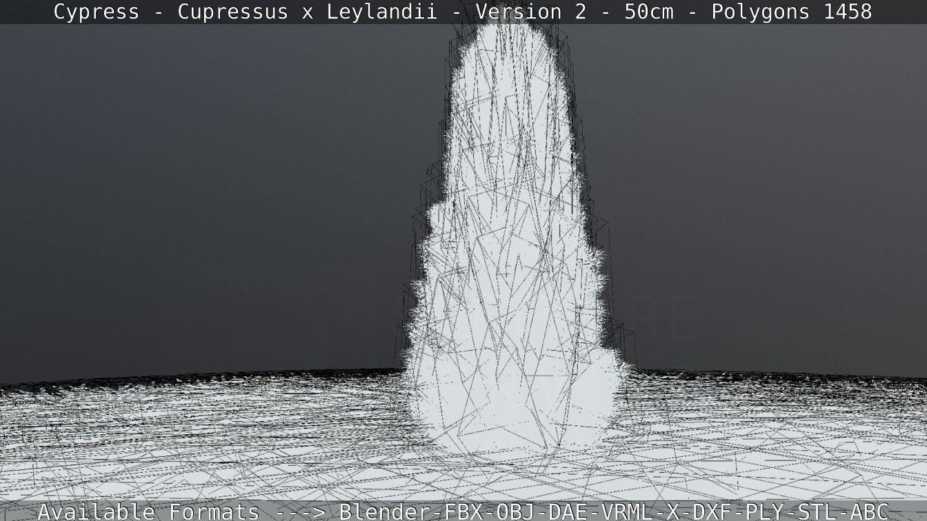 Low-Poly Cypress - Cupressus x Leylandii - Version 2 - 50cm 3D model_2