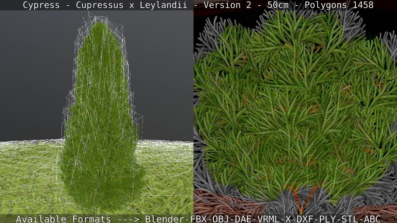 Low-Poly Cypress - Cupressus x Leylandii - Version 2 - 50cm 3D model_27