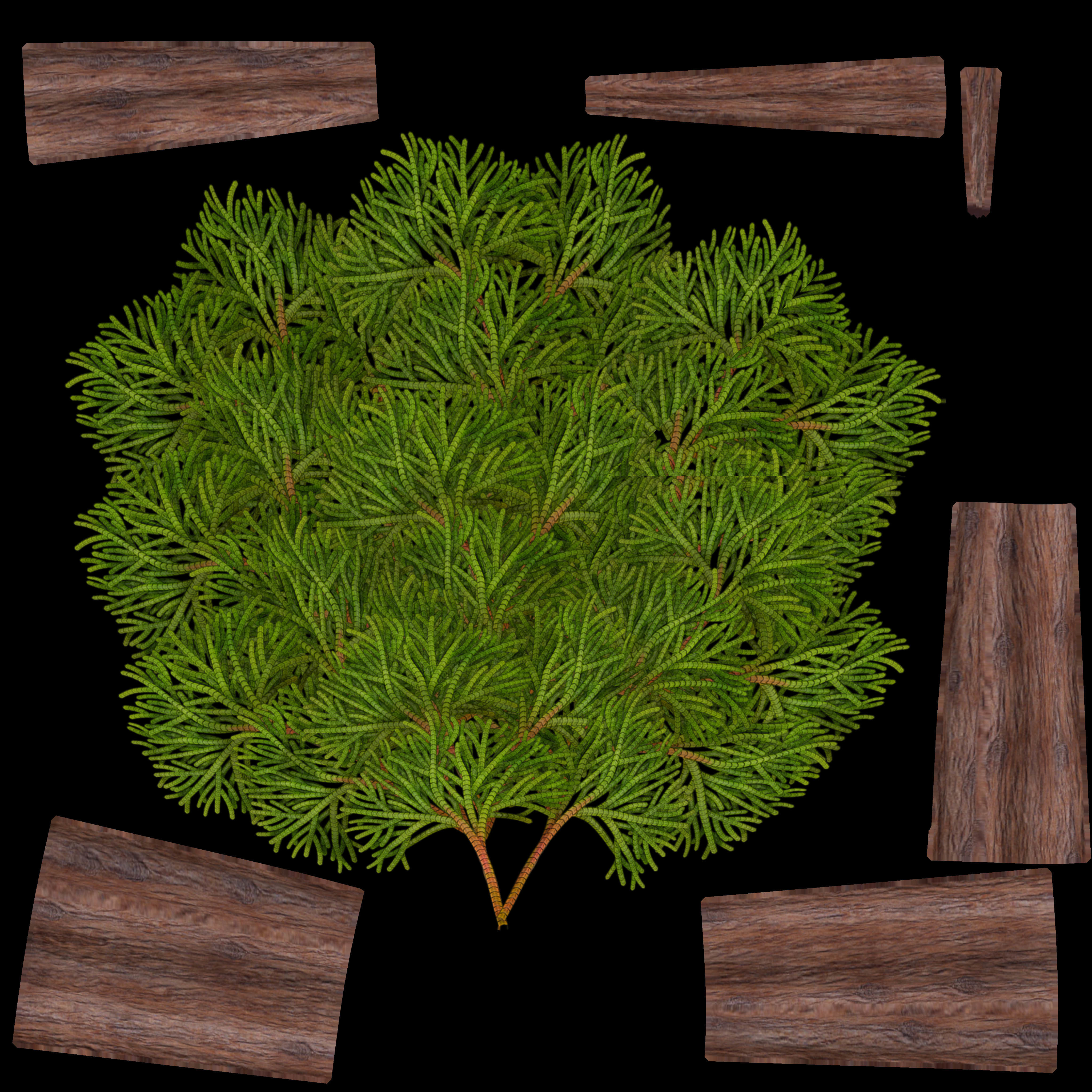 Low-Poly Cypress - Cupressus x Leylandii - Version 2 - 50cm 3D model_26
