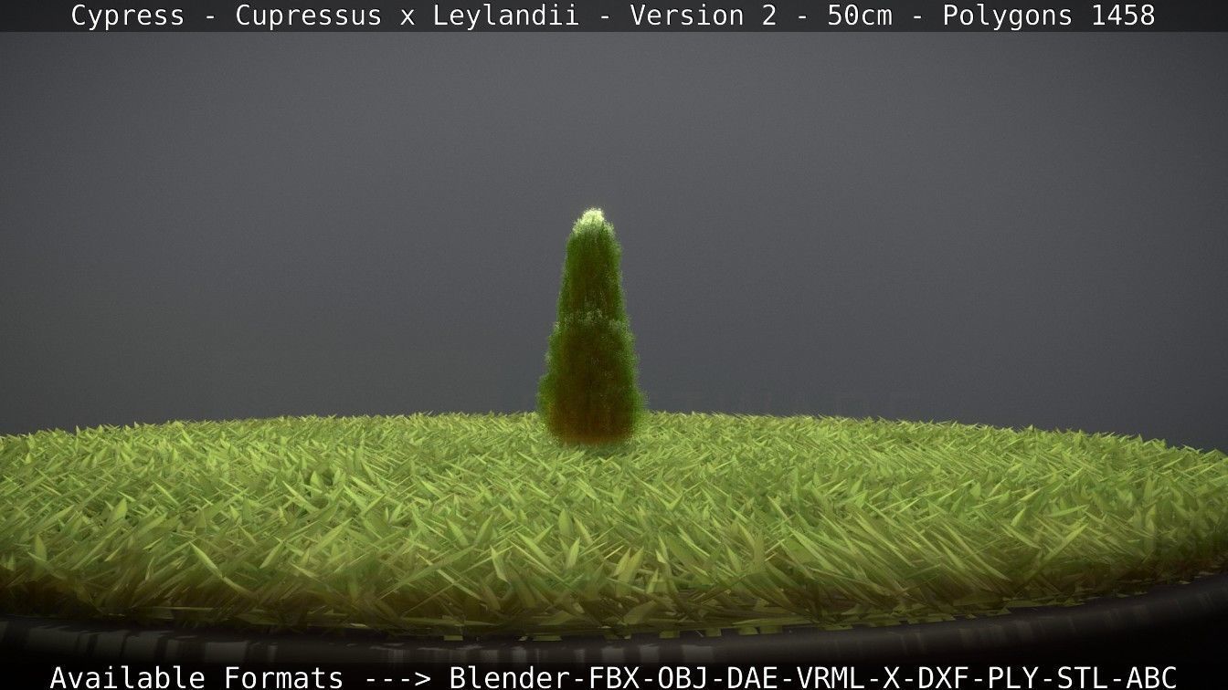 Low-Poly Cypress - Cupressus x Leylandii - Version 2 - 50cm 3D model_85