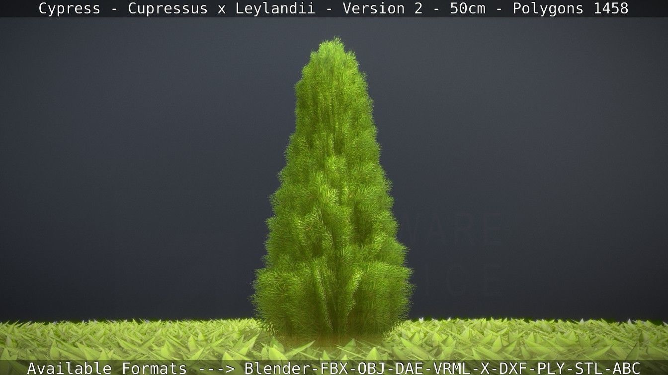 Low-Poly Cypress - Cupressus x Leylandii - Version 2 - 50cm 3D model_47