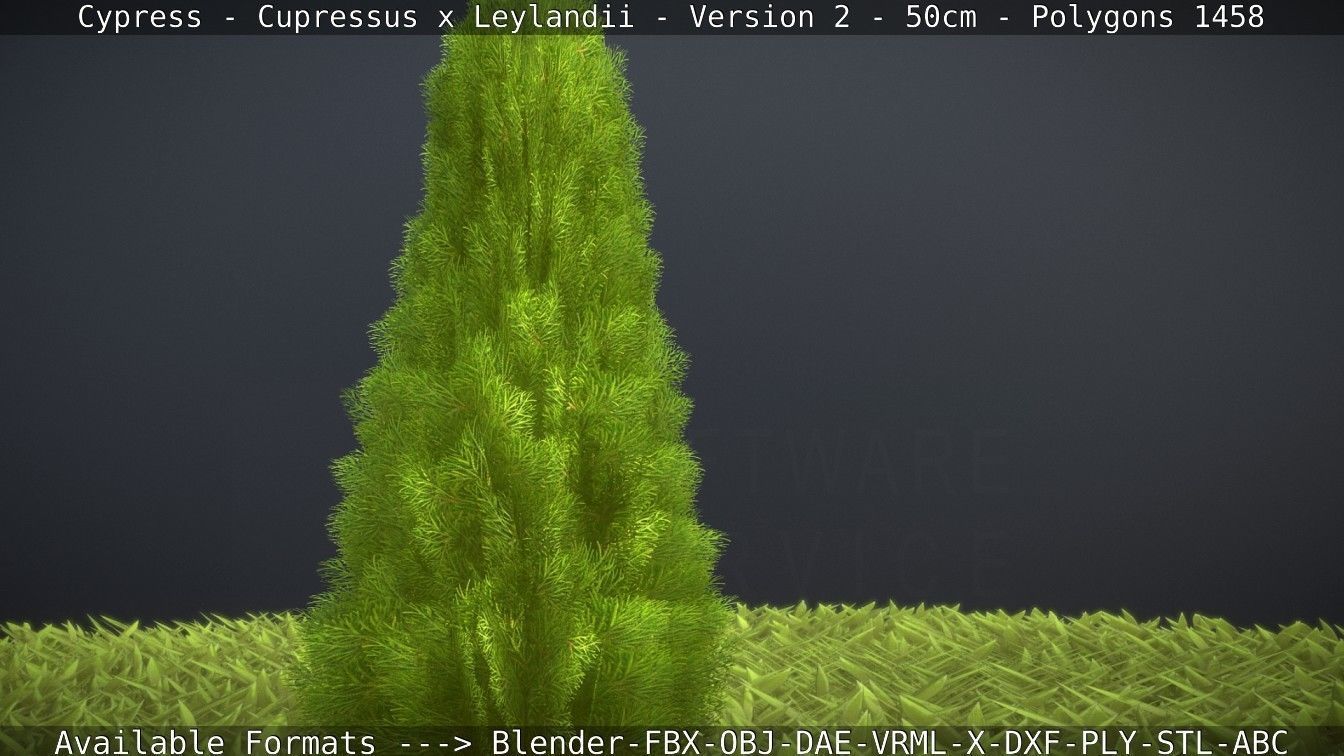 Low-Poly Cypress - Cupressus x Leylandii - Version 2 - 50cm 3D model_109