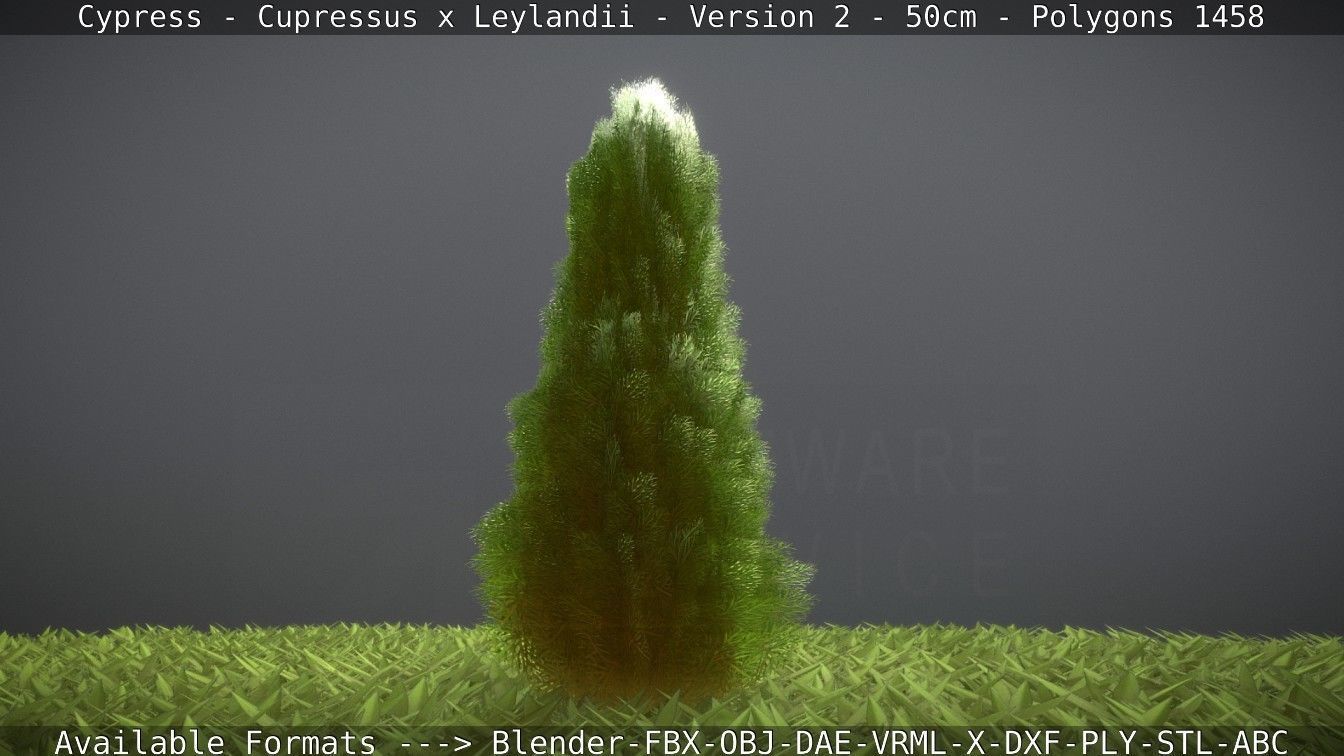 Low-Poly Cypress - Cupressus x Leylandii - Version 2 - 50cm 3D model_40
