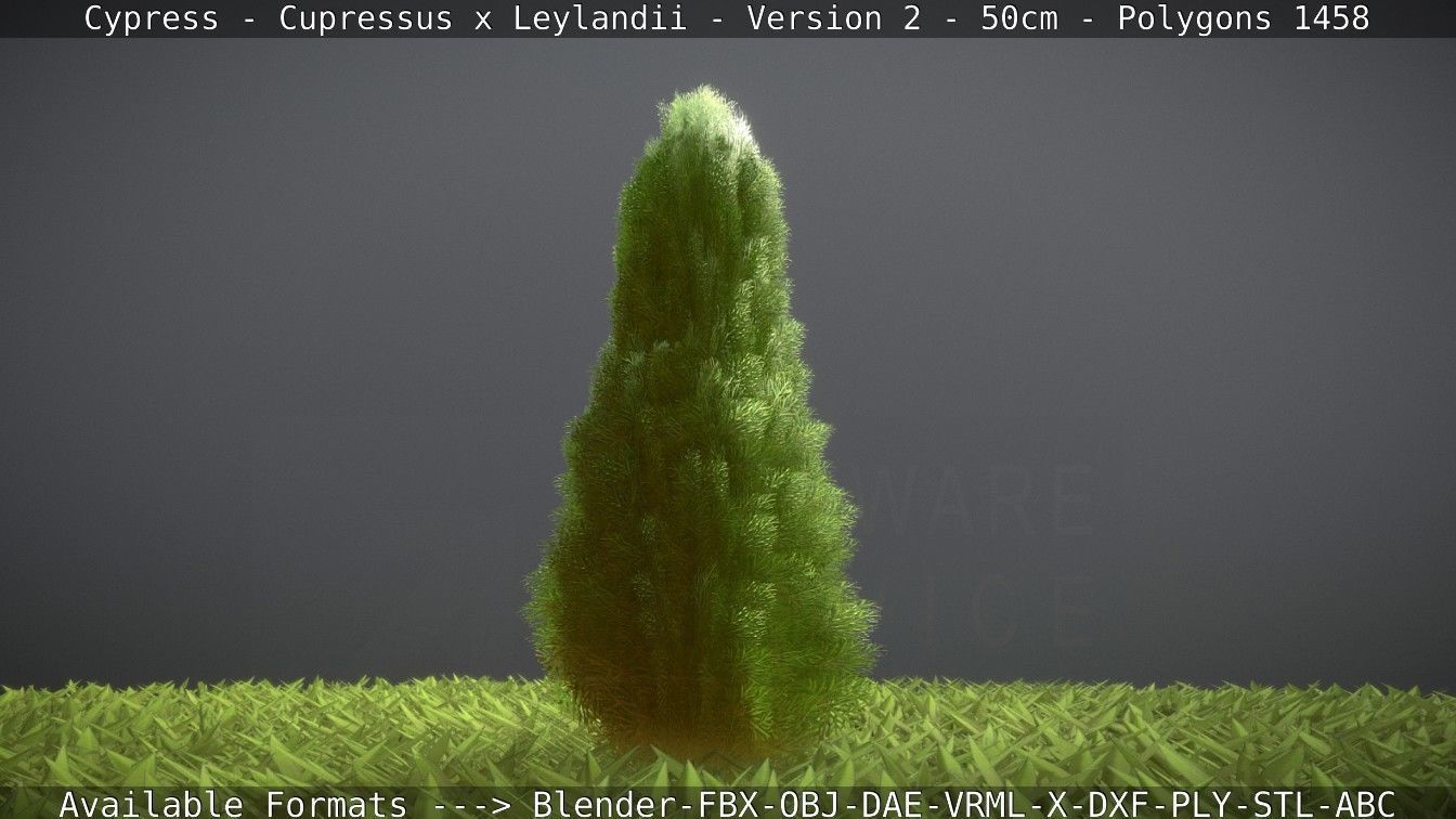 Low-Poly Cypress - Cupressus x Leylandii - Version 2 - 50cm 3D model_43