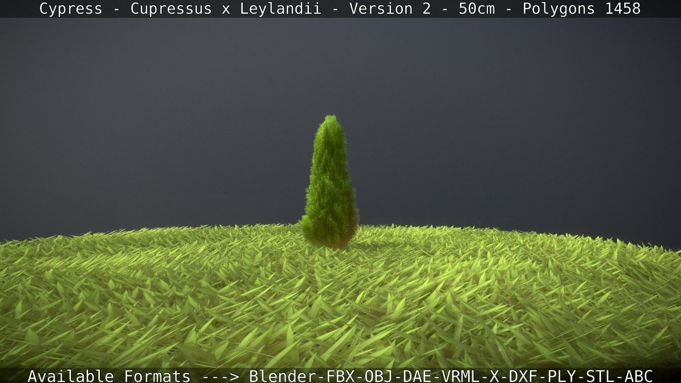 Low-Poly Cypress - Cupressus x Leylandii - Version 2 - 50cm 3D model_81