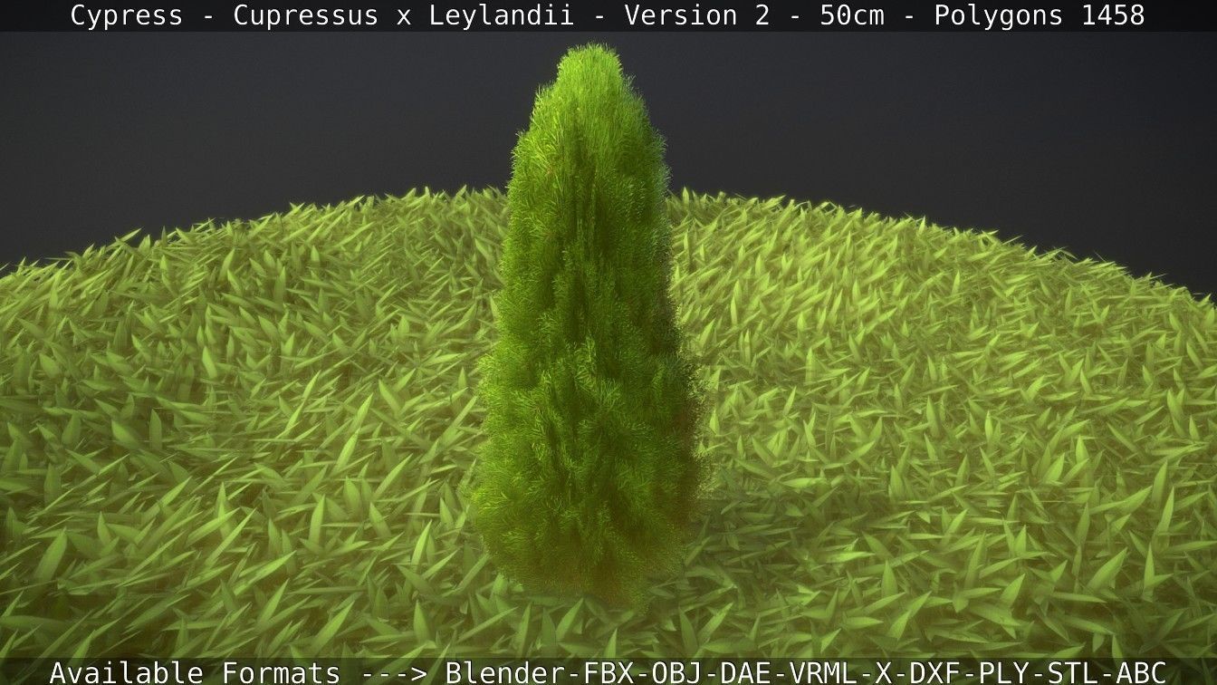 Low-Poly Cypress - Cupressus x Leylandii - Version 2 - 50cm 3D model_52