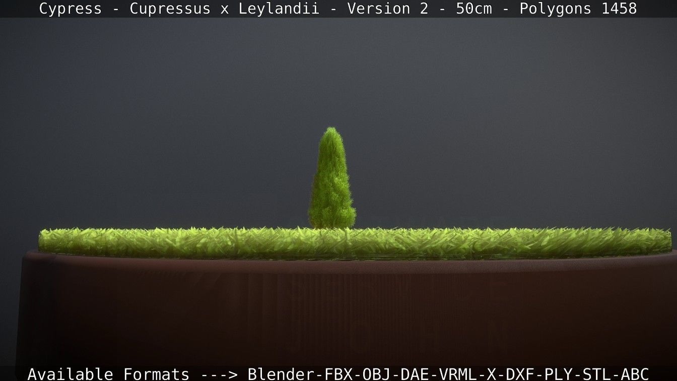 Low-Poly Cypress - Cupressus x Leylandii - Version 2 - 50cm 3D model_82