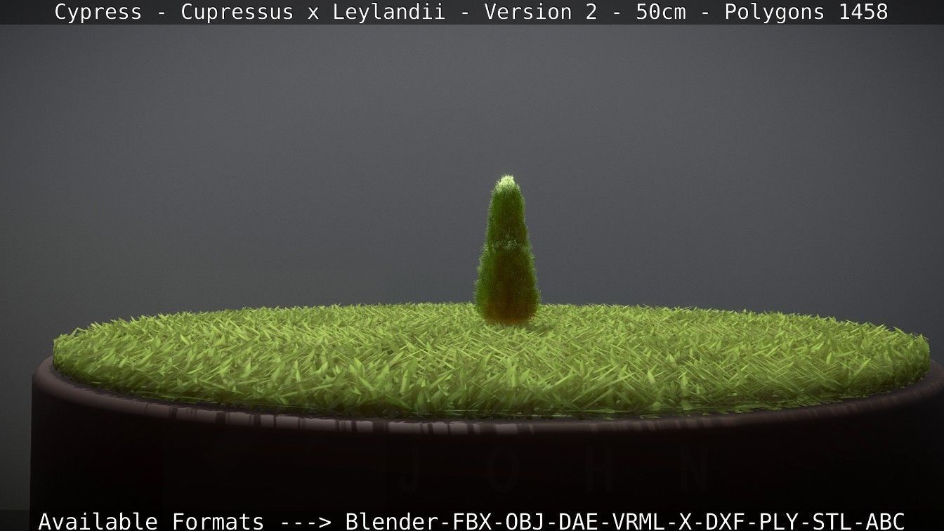Low-Poly Cypress - Cupressus x Leylandii - Version 2 - 50cm 3D model_96