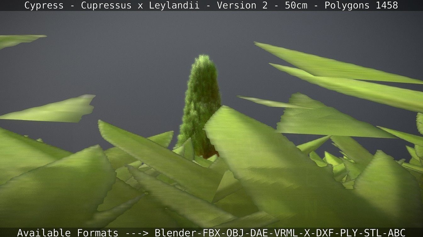 Low-Poly Cypress - Cupressus x Leylandii - Version 2 - 50cm 3D model_60