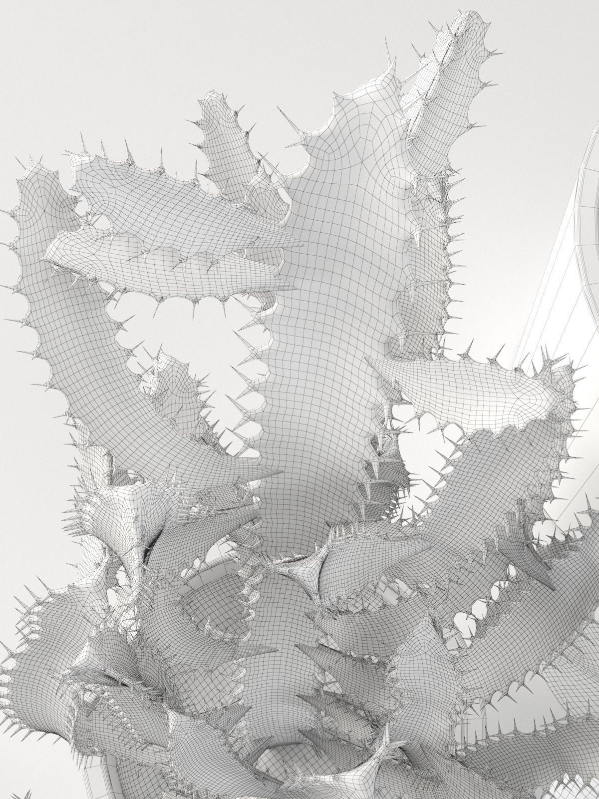 Cactus and Ficus in Pots 3D model_3