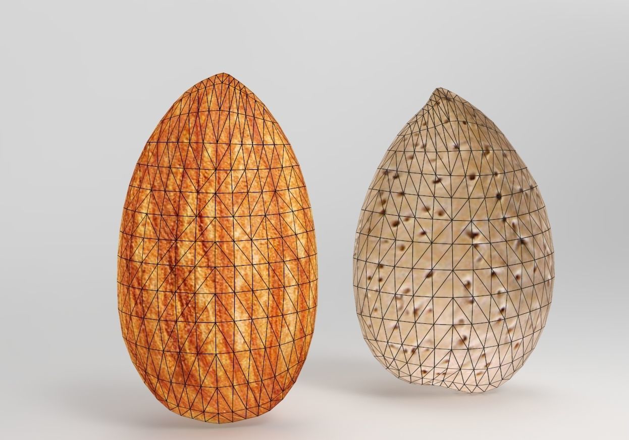 Almond 3D Model two almonds 3D model_4