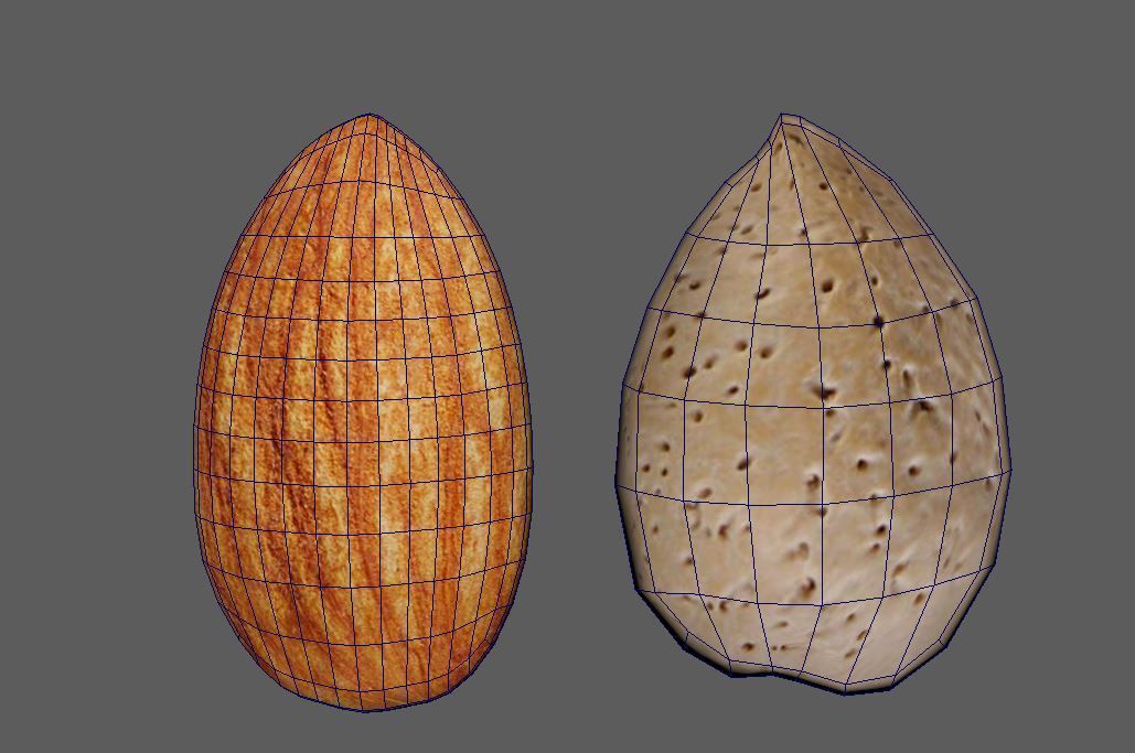 Almond 3D Model two almonds 3D model_1