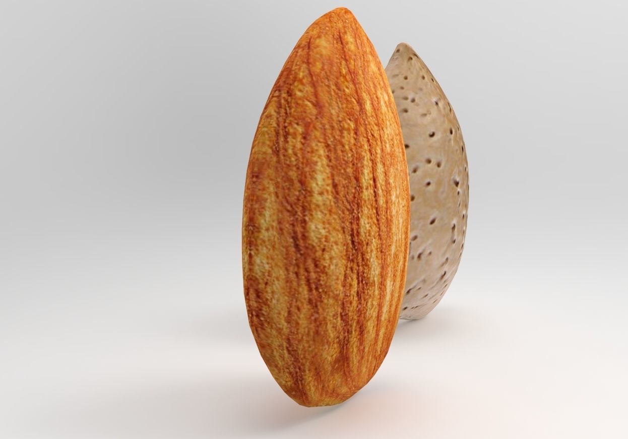 Almond 3D Model two almonds 3D model_2