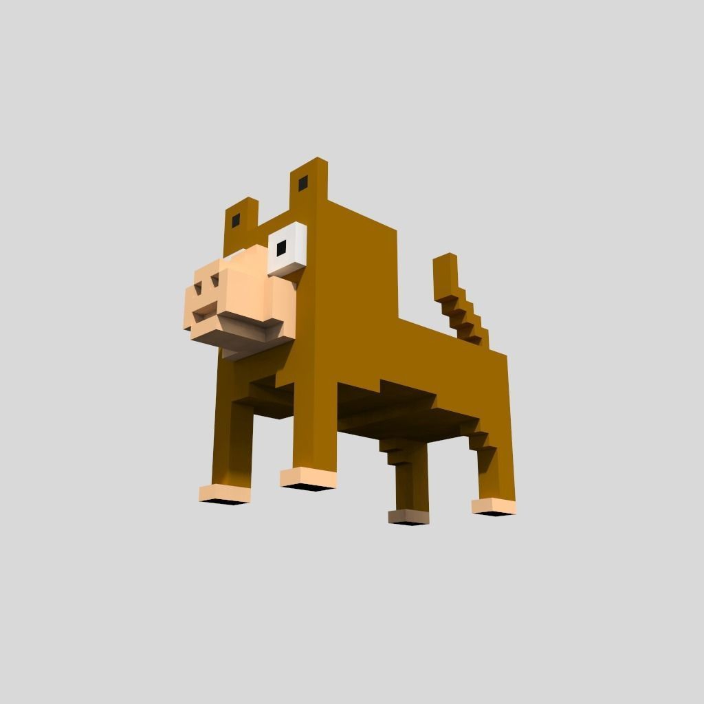 Voxel Coati Low-poly 3D model_2