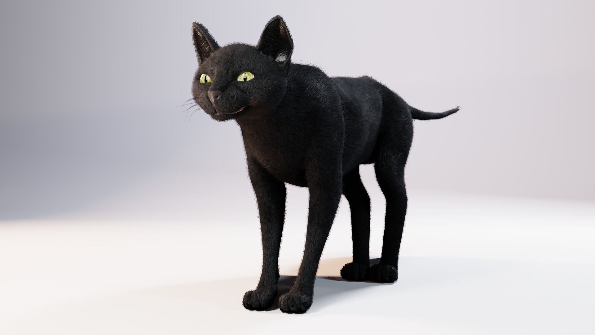 Cat black Rigged Low-poly 3D model_7