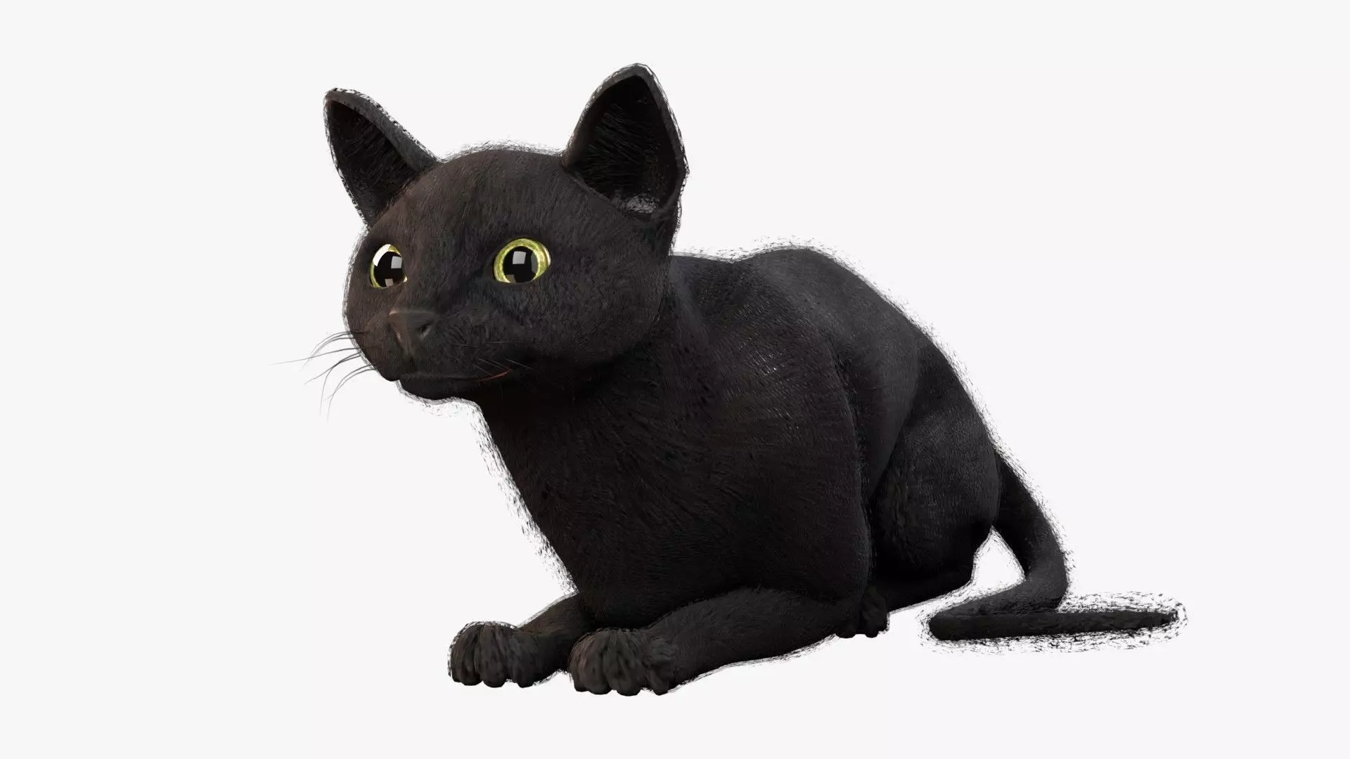 Cat black Rigged Low-poly 3D model_0