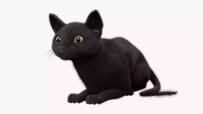 Cat black Rigged Low-poly 3D model