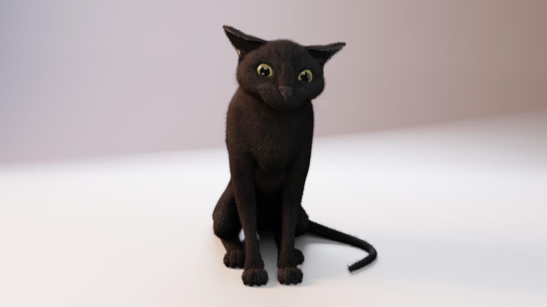 Cat black Rigged Low-poly 3D model_13
