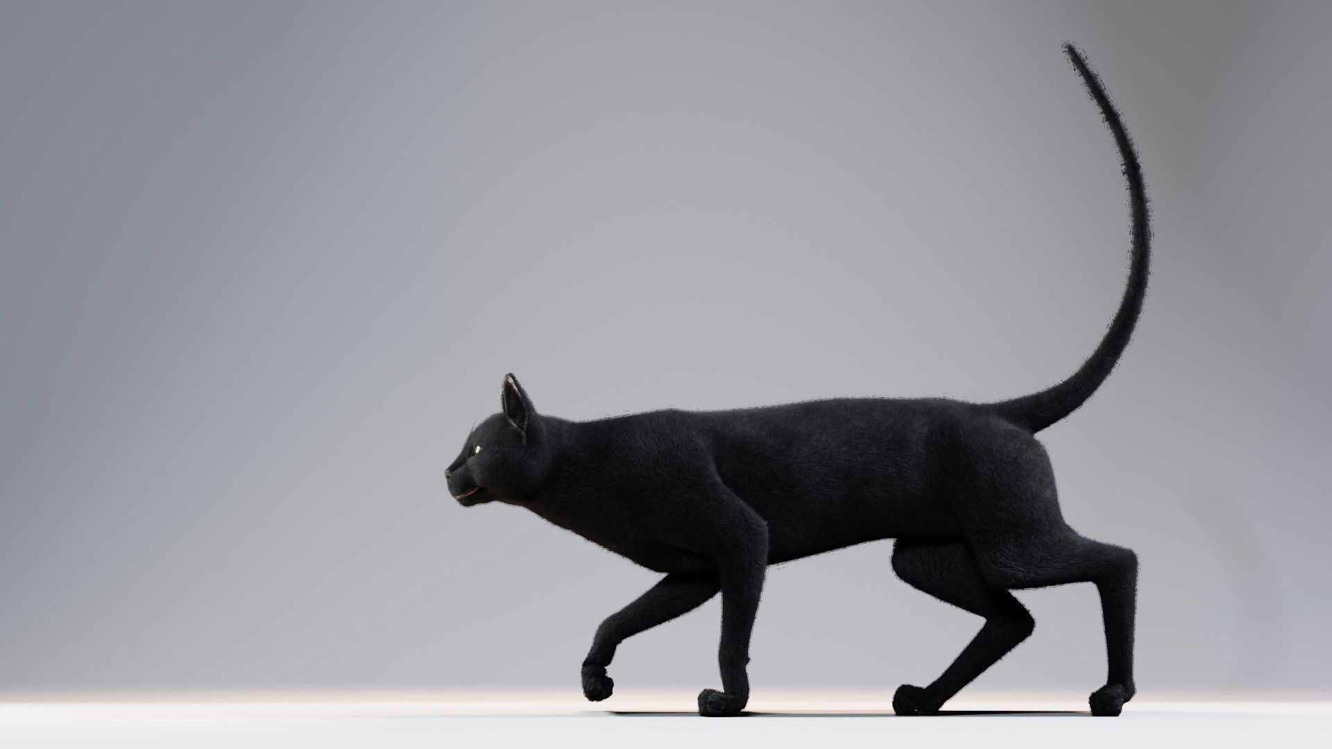 Cat black Rigged Low-poly 3D model_20