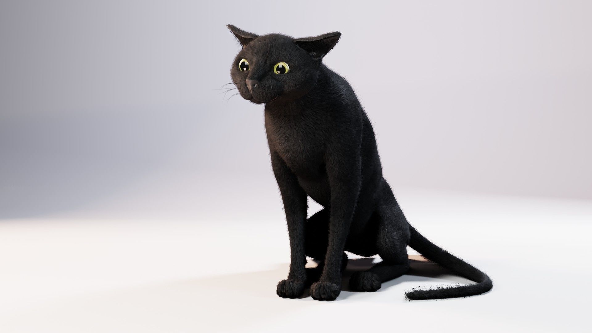 Cat black Rigged Low-poly 3D model_2