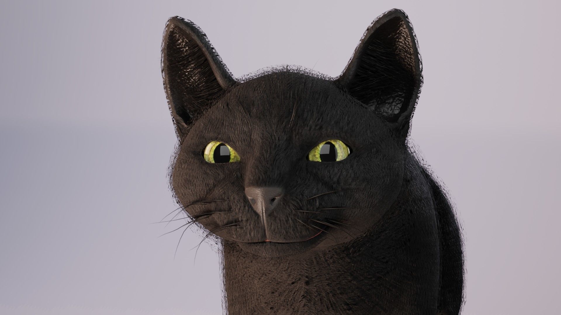 Cat black Rigged Low-poly 3D model_6