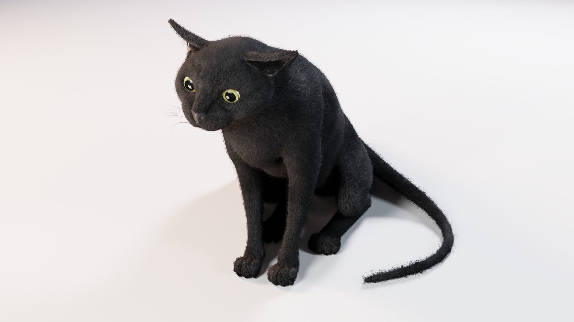Cat black Rigged Low-poly 3D model_12