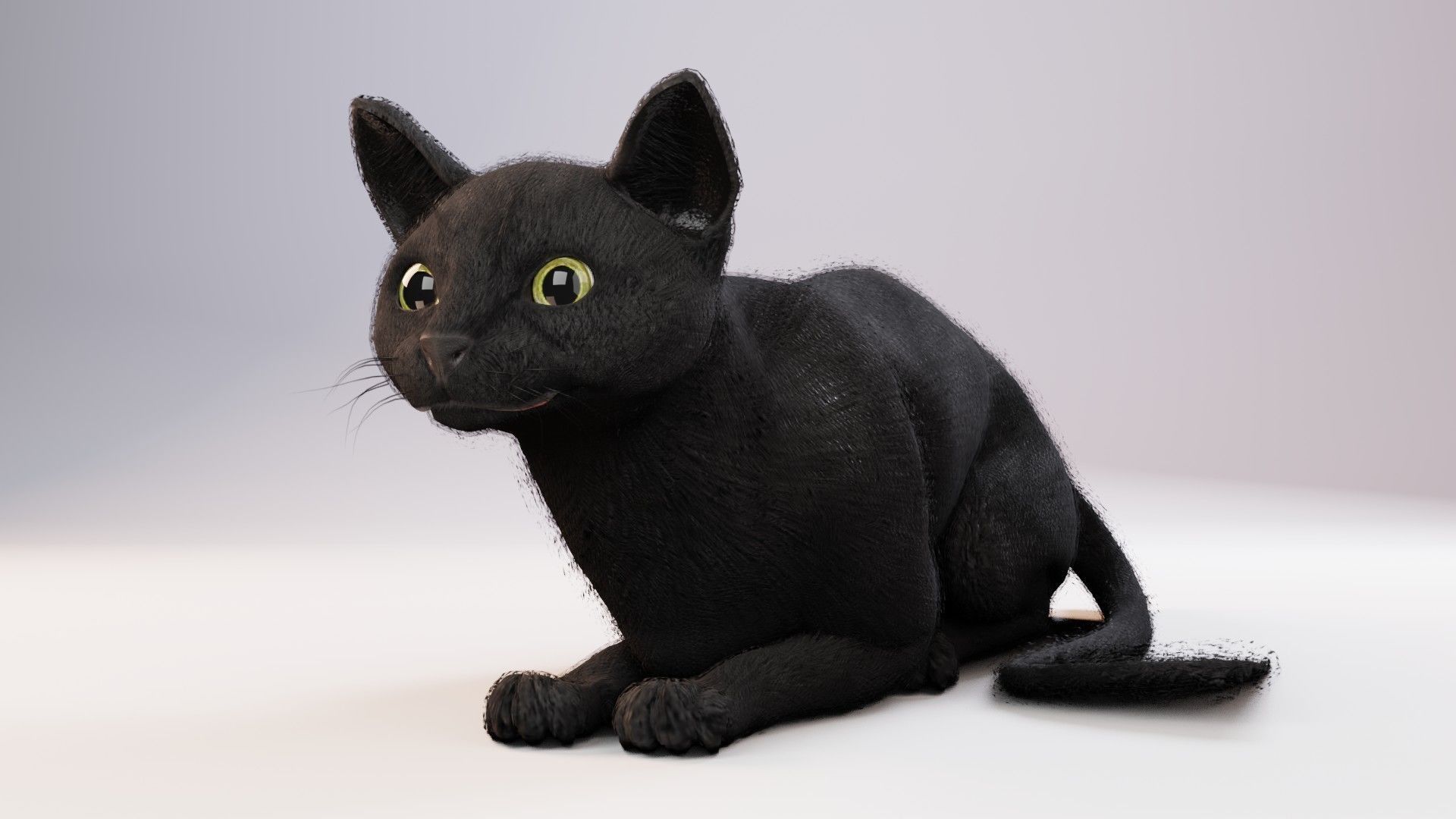 Cat black Rigged Low-poly 3D model_14