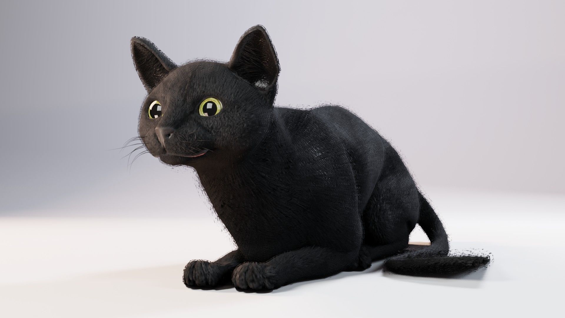 Cat black Rigged Low-poly 3D model_8