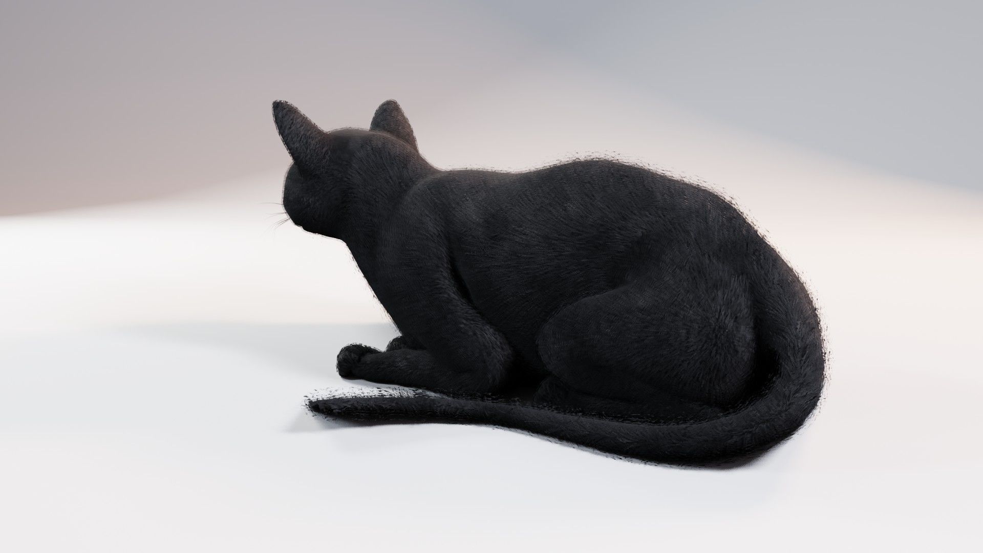 Cat black Rigged Low-poly 3D model_10