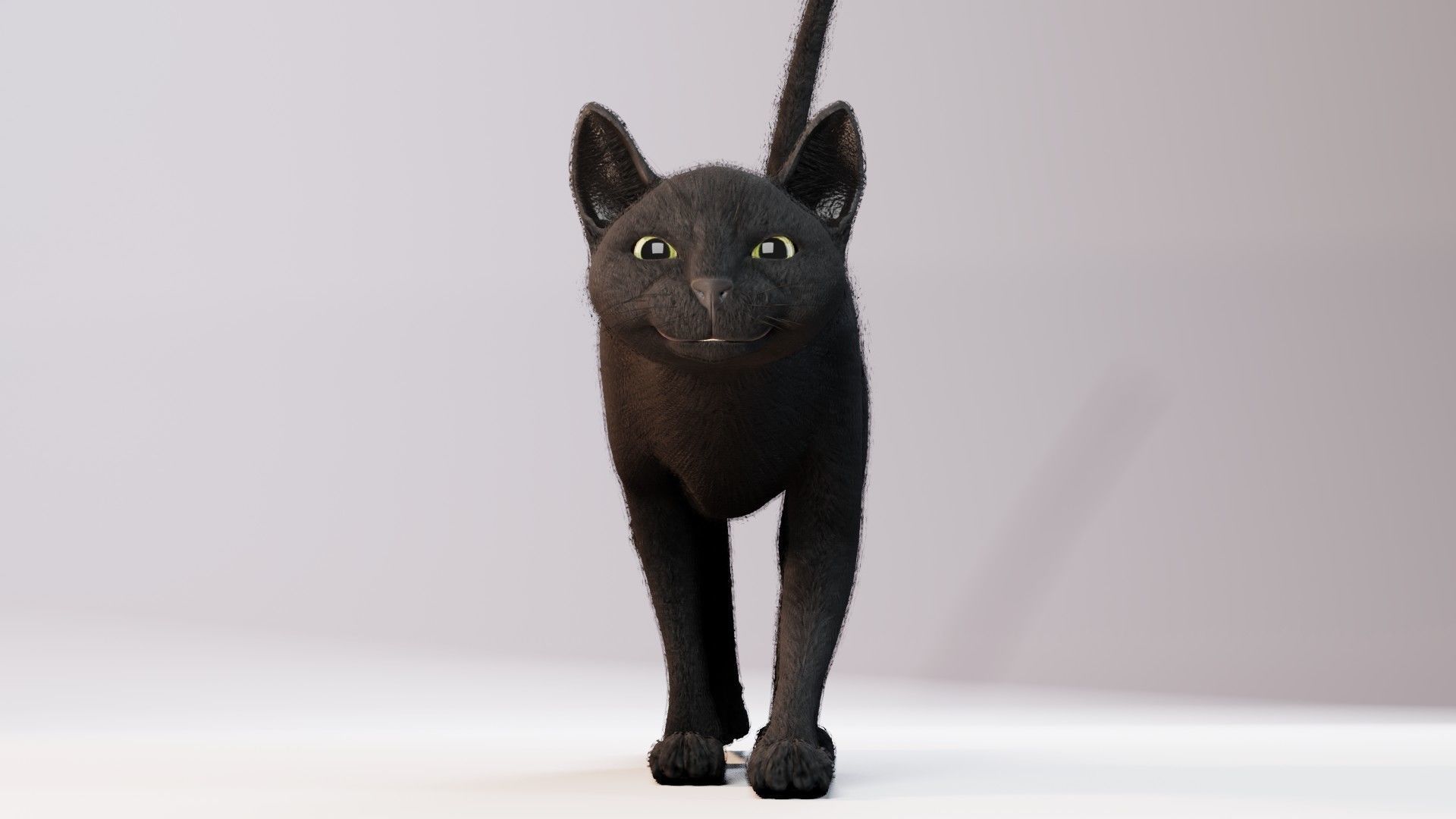 Cat black Rigged Low-poly 3D model_21