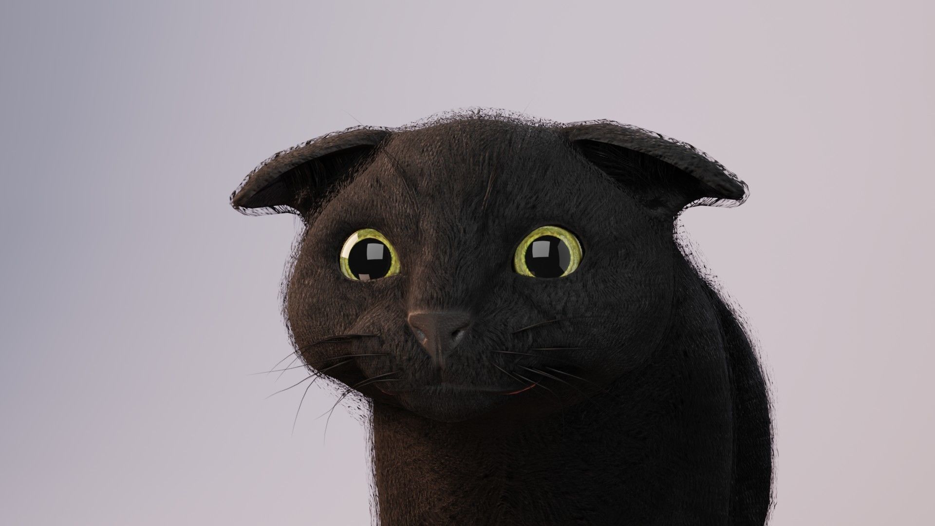 Cat black Rigged Low-poly 3D model_3