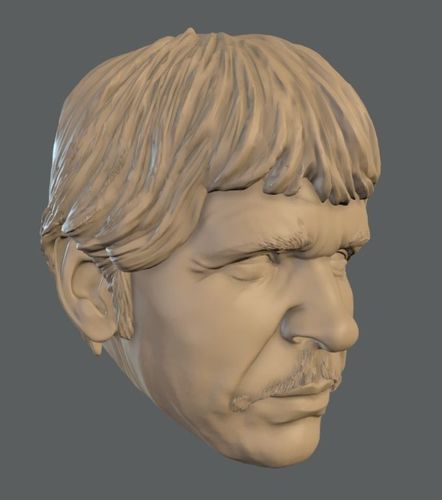 Charles Head For Poseable Figure 3D print model