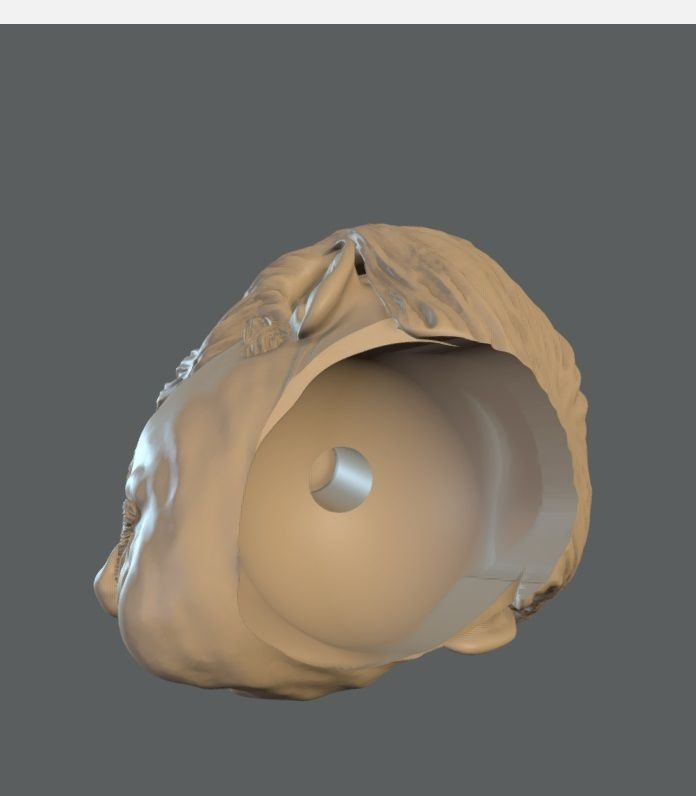 Charles Head For Poseable Figure 3D print model_1