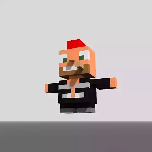 Voxel Bass Guitarist