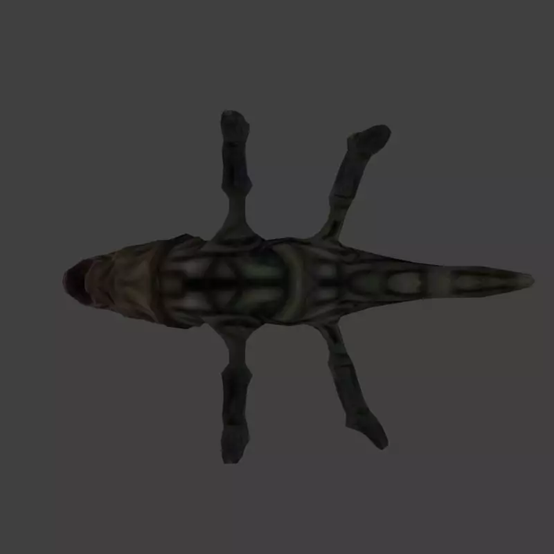 Low poly Insect Alien Low-poly 3D model_12