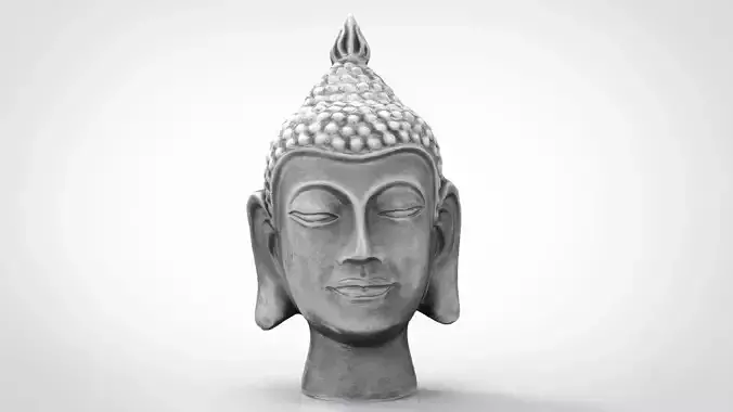 SILVER BUDDHA HEAD 