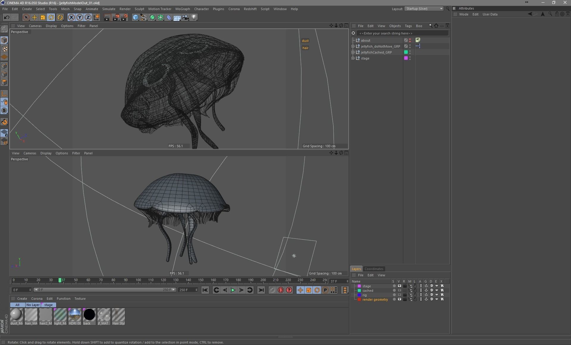 Jellyfish rigged and animated for Cinema 4d Low-poly 3D model_11
