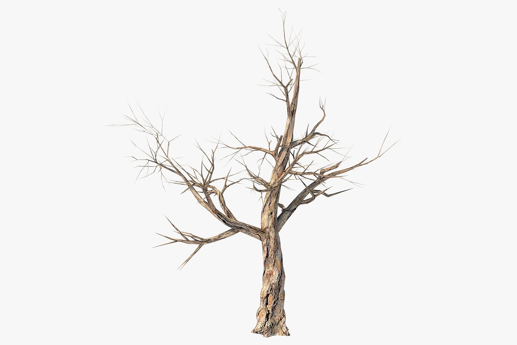 Low Poly Dead Tree Pack Low-poly 3D model_7