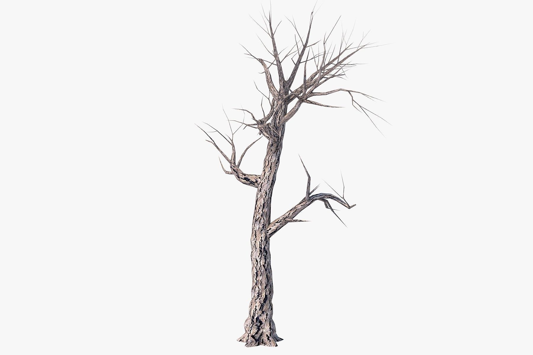 Low Poly Dead Tree Pack Low-poly 3D model_9