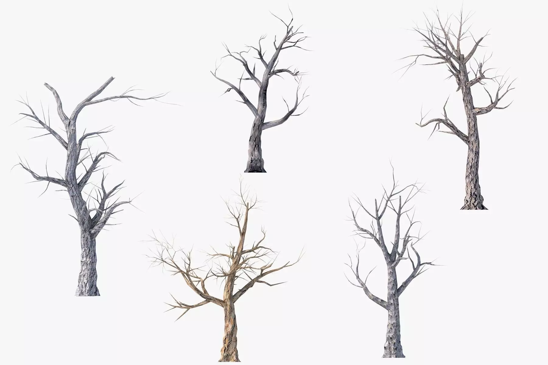 Low Poly Dead Tree Pack Low-poly 3D model_0
