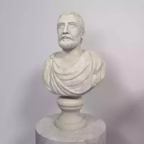 Man Bust - Statue
