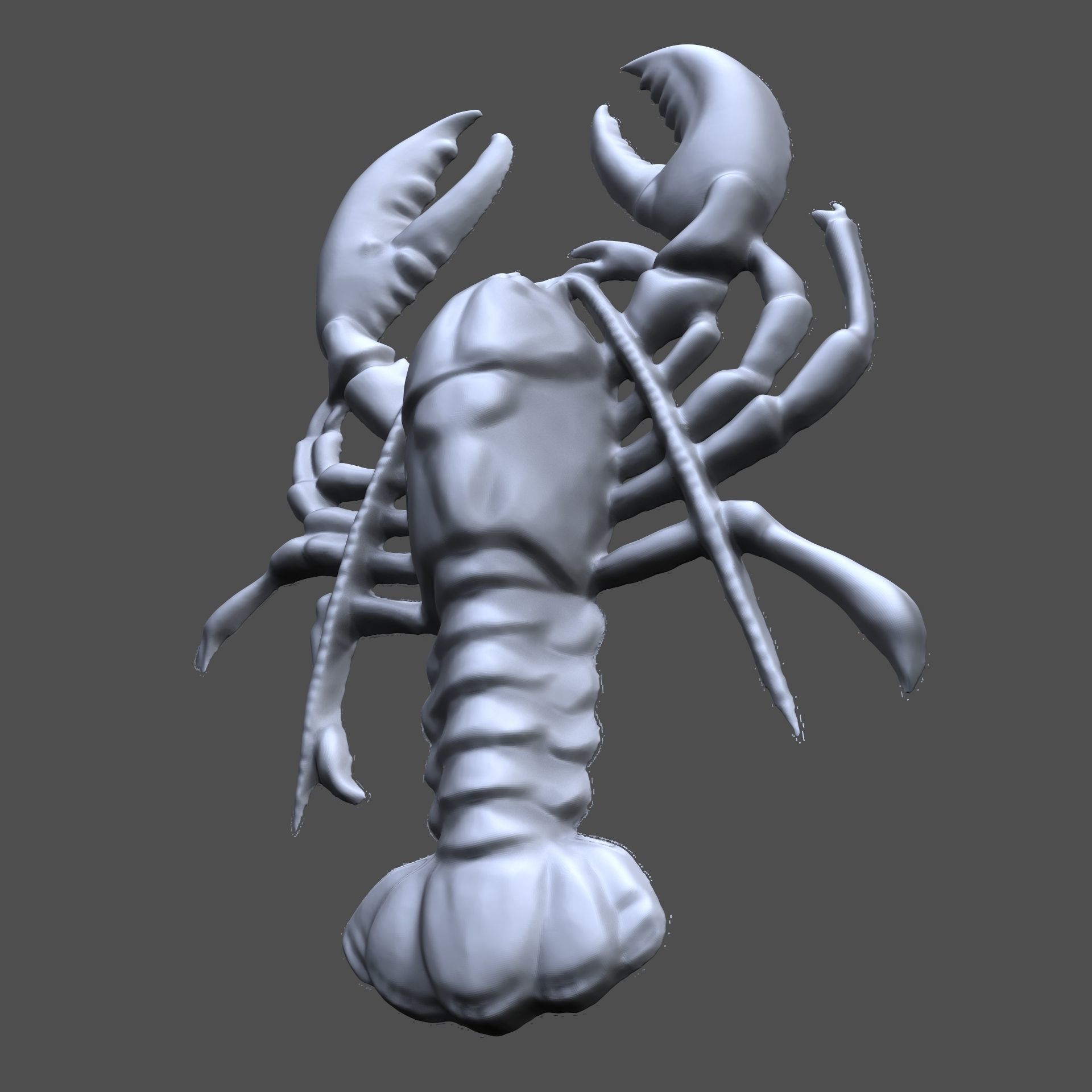 Crayfish bas relief for CNC 3D print model_1