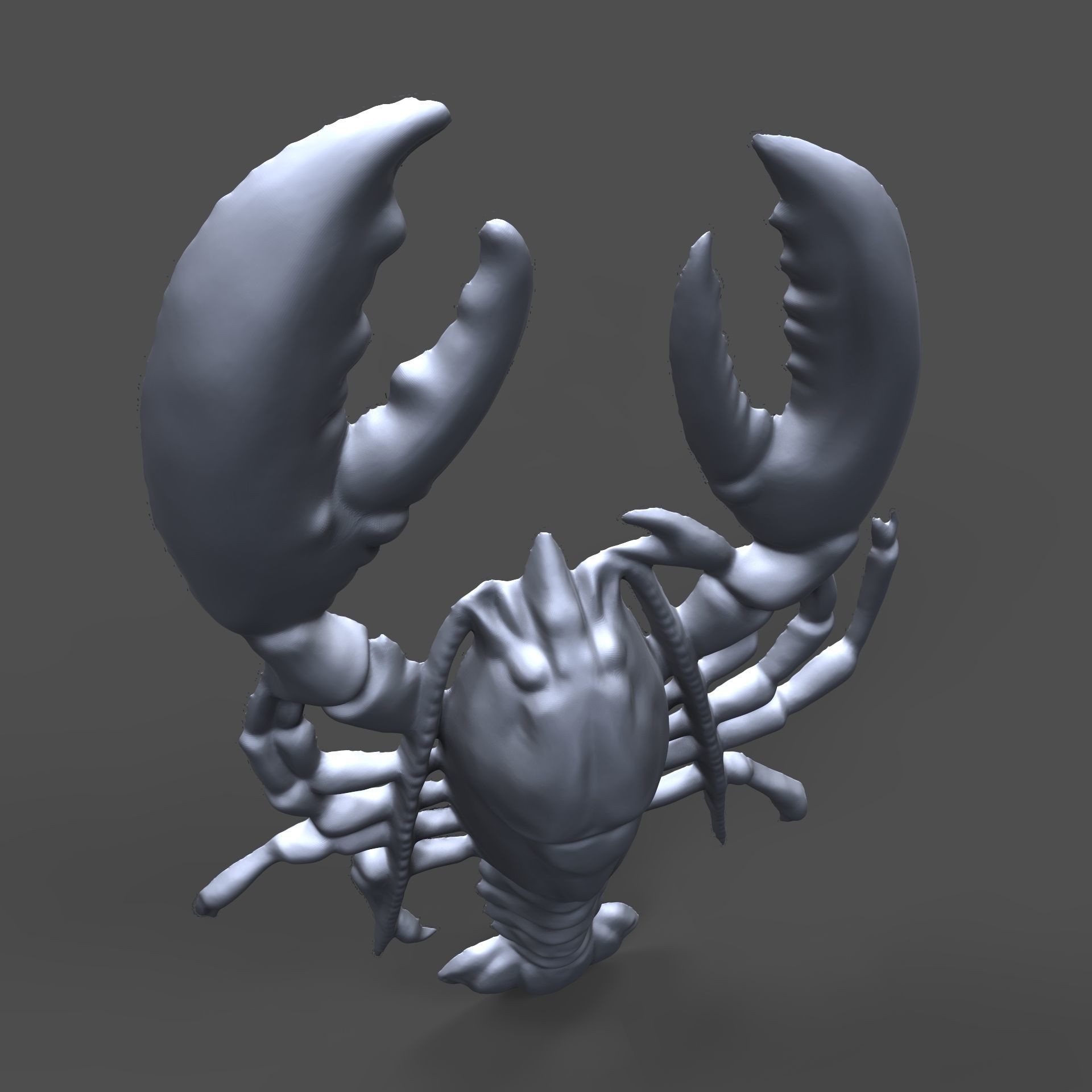 Crayfish bas relief for CNC 3D print model_3